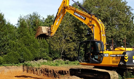 Commercial japanese knotweed removal