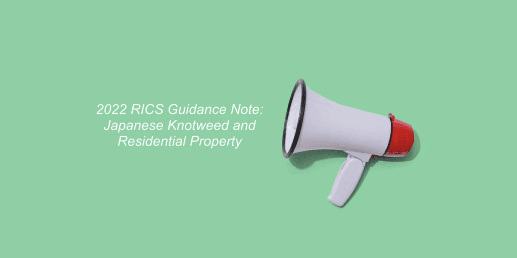 2022 RICS guidance