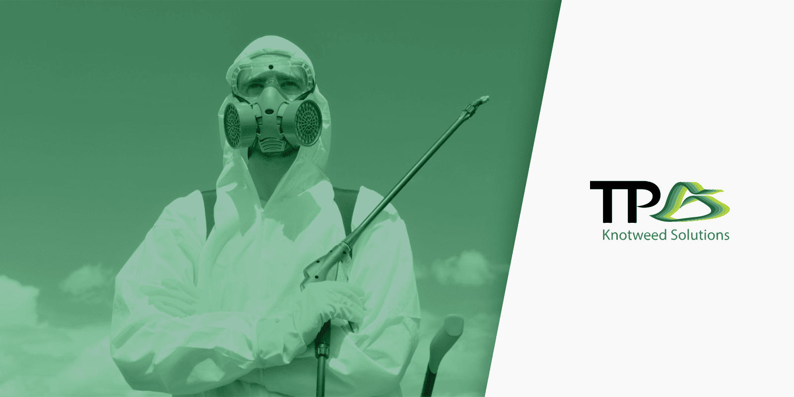 How Do Professionals Get Rid Of Japanese Knotweed?