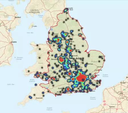 Where Does Japanese knotweed Grow in the UK