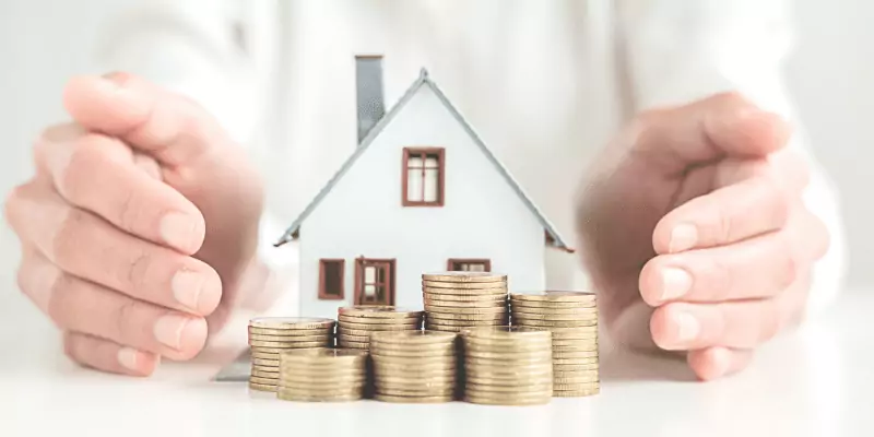 How much does Japanese knotweed devalue property?