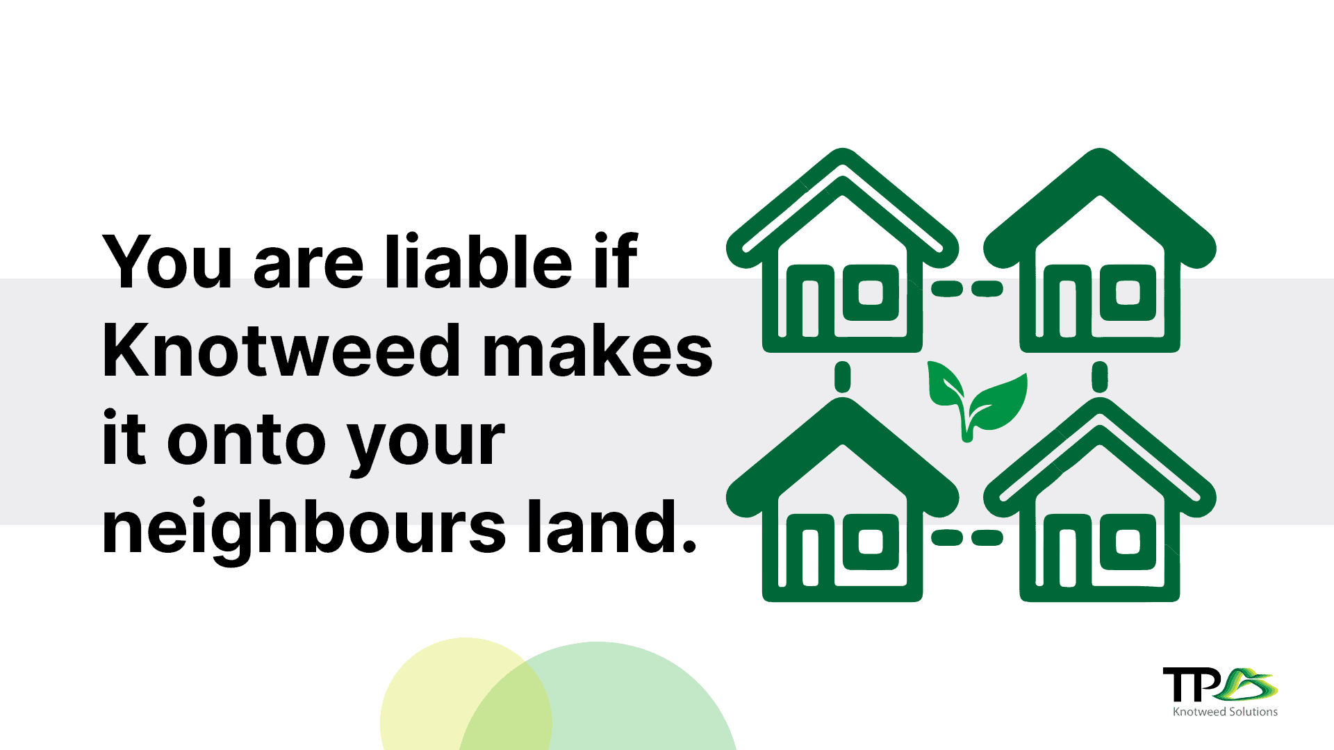 japanese knotweed spread to neighbours land